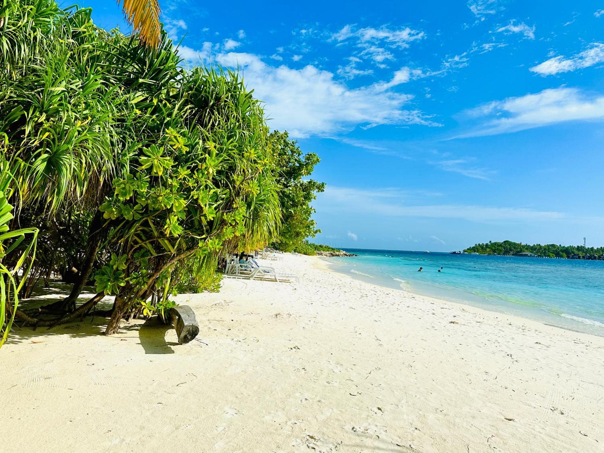 Hotel Paguro Seaview 3*