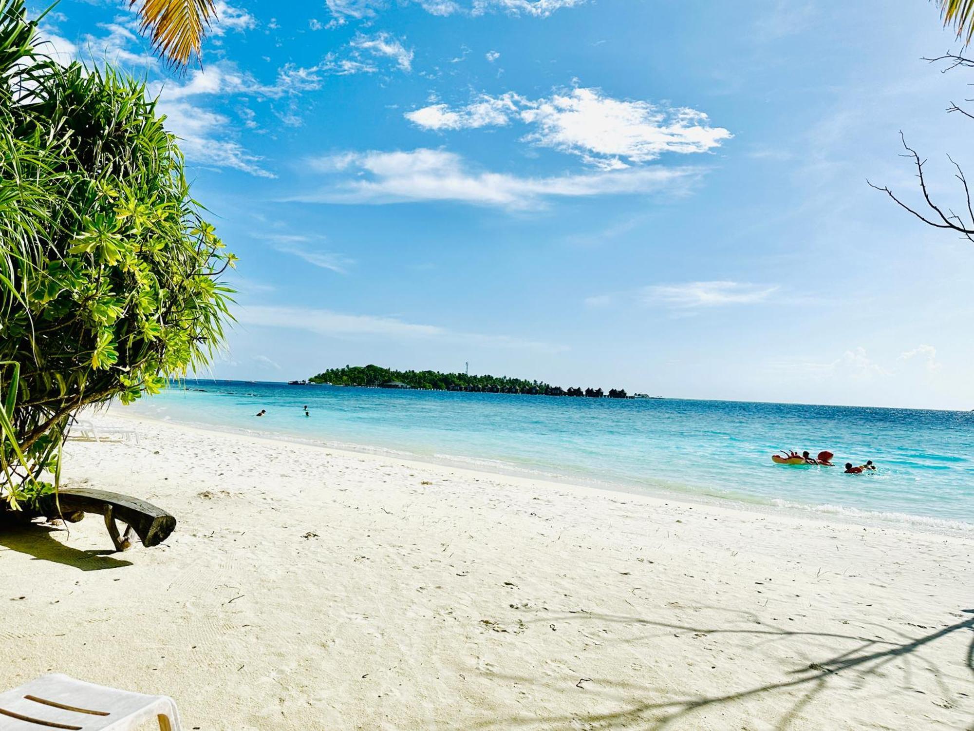 Hotel Paguro Seaview 3*